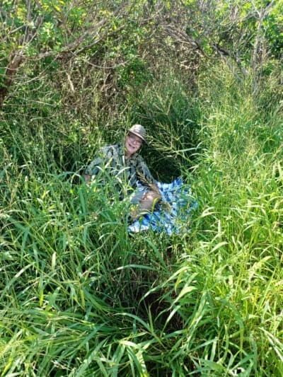 Perfect picnic spot along Olivine Pools trail