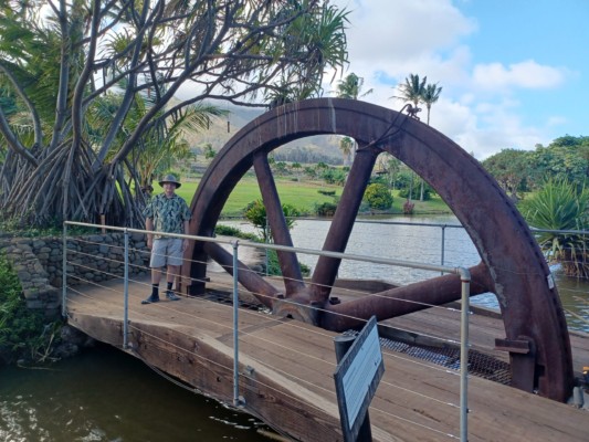 Maui Tropical Plantation