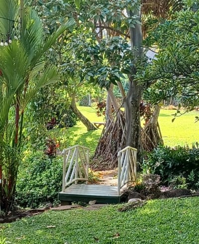 Maui Tropical Plantation