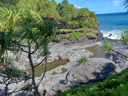 Sacred pool at Oheo Gulch